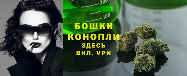 мет Коряжма