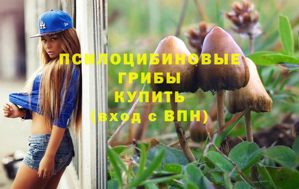 ПСИЛОЦИБИНОВЫЕ ГРИБЫ Краснослободск