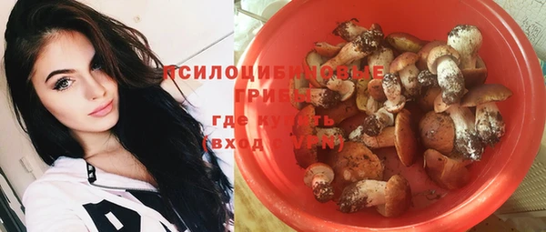 таблы Козельск