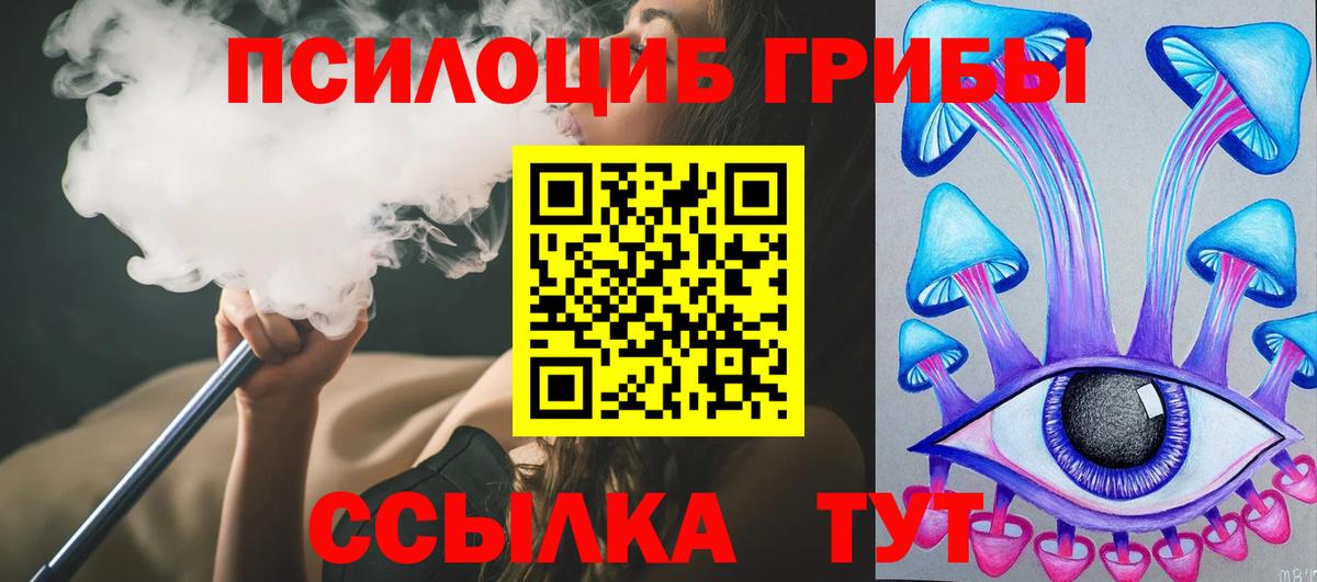 Галлюциногенные грибы Psilocybe Ливны